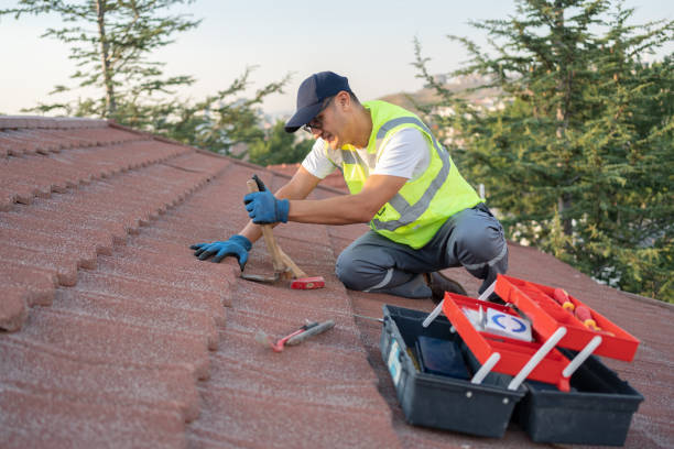 Best Roof Gutter Cleaning  in Rice, TX